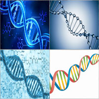 DNA Nedir, DNA’nın Özellikleri ve İşlevleri Nelerdir?