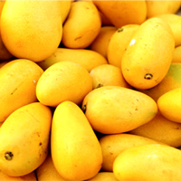 Mango Meyvesi Nedir, Sağlığa Faydaları Nelerdir?