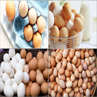 Yumurtanın Faydaları Nelerdir?